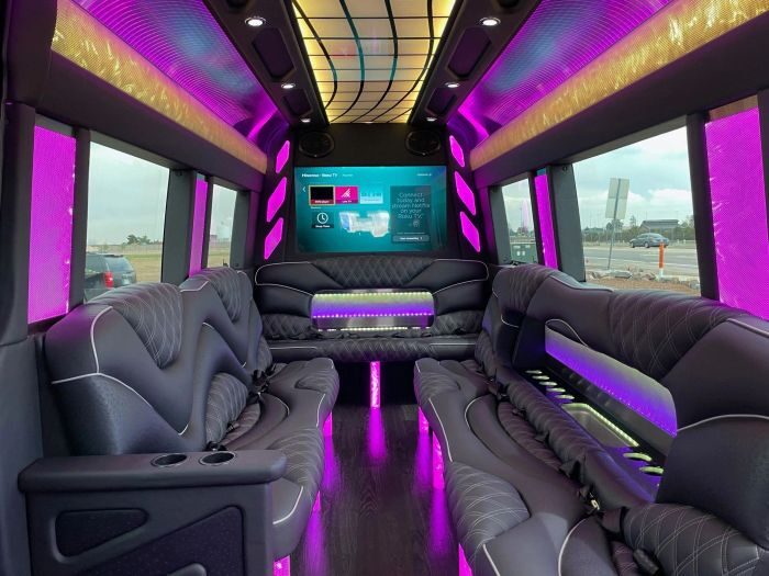 Sprinter limo lounge with TV – Aspen limo service