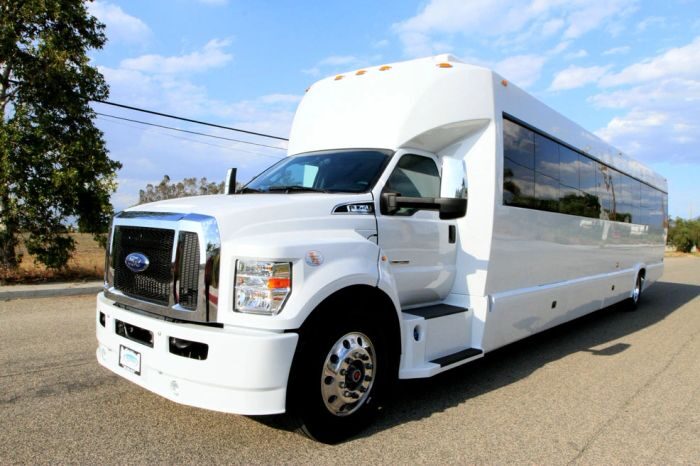 White party bus – Aspen limo service