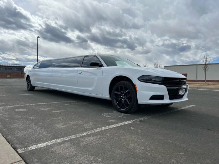White stretch limo – Aspen limo service